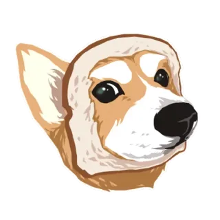 🐶 chó, corgi, động vật, thú cưng, nhãn dán, dễ thương telegram sticker
