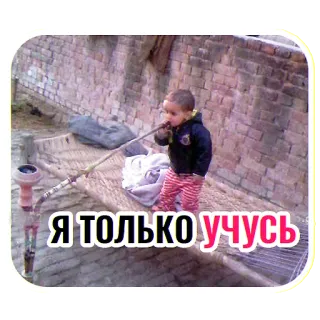 🤓 Я только учусь narguilé, fumar, criança, texto, russo, tabaco telegram sticker