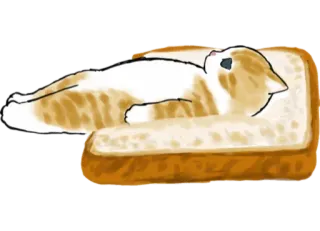 🍞 cat, bread, toast, animal, pet, cute, loaf telegram sticker