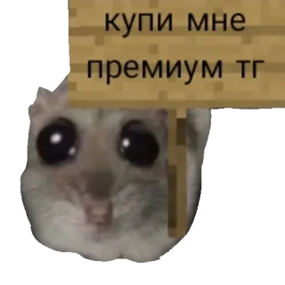 Грустный хомяк • @TgSticker whatsapp stickers