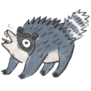 👿 procione, arrabbiato, cartone animato, animale, fauna selvatica, illustrazione telegram sticker
