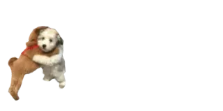 🥰 puppies, dogs, hug, friendship, cute, animals, pet telegram sticker