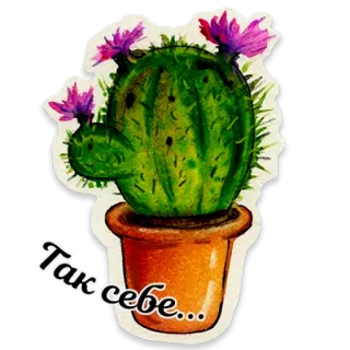 🌵 Так себе... cactus, plant, flower, pot, russian, watercolor, sticker telegram sticker