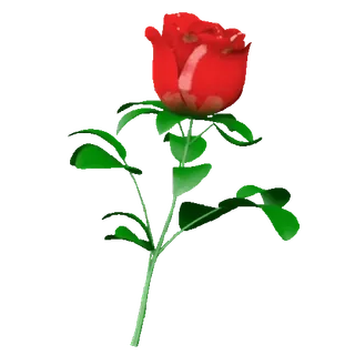 🌹 flor, rojo, rosa, floral, planta telegram sticker