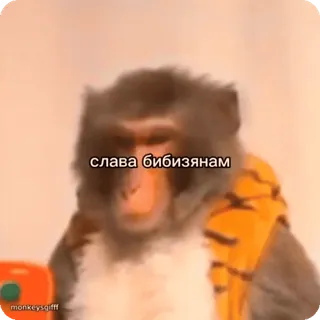 🌟 слава бибизянам ลิง, เอป, สัตว์, รัสเซีย, มีม, Slava, Bibizyanam whatsapp sticker