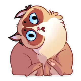😯 gato, fofo, animal, gatinho, desenho animado, animal de estimação whatsapp sticker