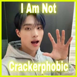 ⚪️ I Am Not Crackerphobic offensant, raciste, discrimination, préjugés, discours haineux telegram sticker
