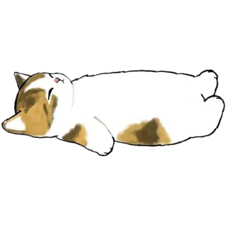 😐 kucing, tidur, hewan, domestik, peliharaan, santai, imut telegram sticker