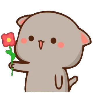 🌹 gatto, fiore, carino, animale, cartone animato, illustrazione, adesivo telegram sticker