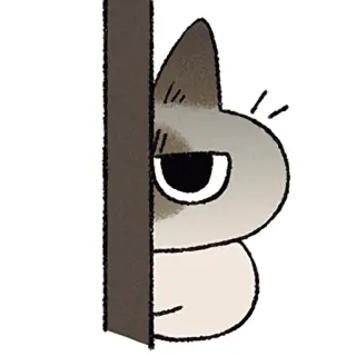 🫣 cat, hiding, sneaky, peeking, cartoon, animal telegram sticker