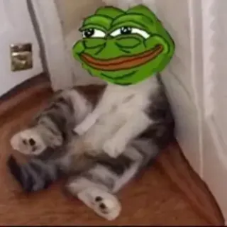 📎 Pepe the Frog Meme, Pepe la Rana, Gato, Humor, Cultura de Internet whatsapp sticker