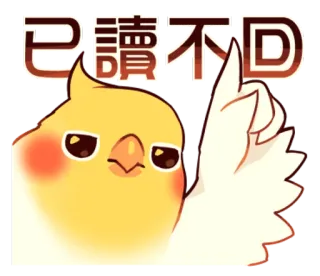 🙁 已讀不回 oiseau, emoji, autocollant, calopsitte, non lu, en colère whatsapp sticker