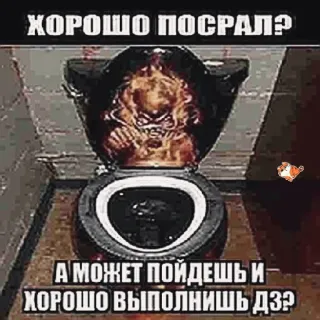 🚽 ХОРОШО ПОСРАЛ?
А МОЖЕТ ПОЙДЕШЬ И ХОРОШО ВЫПОЛНИШЬ ДЗ? toilet, humor, meme, russian, home work telegram sticker