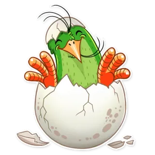 🥚 pájaro, pollito, huevo, eclosión, lindo, animal whatsapp sticker