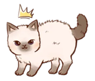 🙀 chat, animal, couronne, mignon, animal de compagnie, autocollant telegram sticker