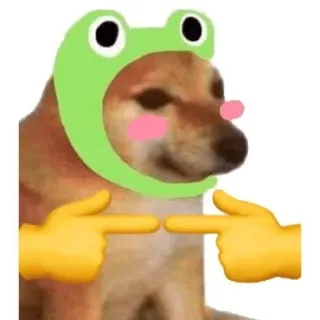👉 doge, hund, emoji, tier, süß, kawaii, froschhut, finger whatsapp sticker