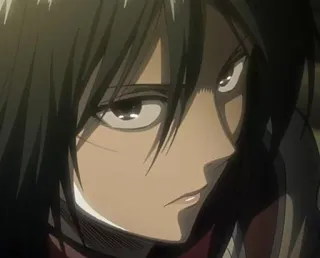 🌿 Mikasa Ackerman Attack on Titan anime, character, female, serious, Mikasa, Ackerman telegram sticker