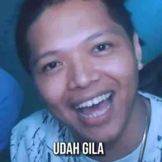 🤔 UDAH GILA telegram sticker