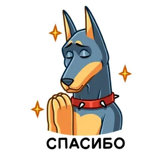 🙏 СПАСИБО собака, спасибо, доберман, милый, стикер whatsapp sticker