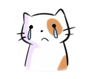 🙁 chat, triste, pleurs, larmes, animal, mignon, dessin animé telegram sticker