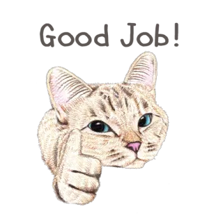 👍 고양이, 가운데 손가락, 무례한, 동물, 제스처, 불쾌한 telegram sticker