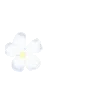 🌸