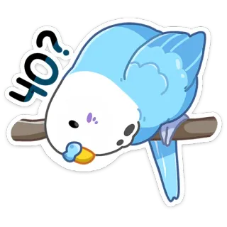 ❓ Yo? vogel, blauw, parkiet, vraag, schattig, dier, huisdier telegram sticker