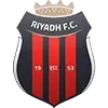 🇸🇦
