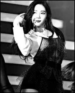 🍩 woman, singer, performer, black and white, portrait whatsapp sticker