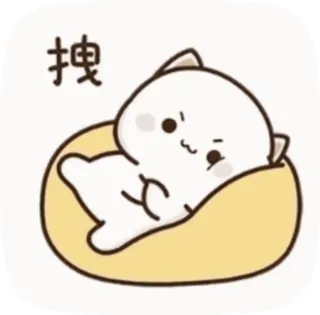 😠 搜 gatto, carino, cerca, animale, cartone animato telegram sticker