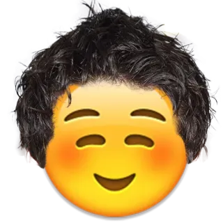 😊 emoji, face, hair, meme, funny, portrait, sticker telegram sticker