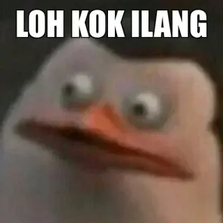 🤔 LOH KOK ILANG pingwin, śmieszne, mem, zszokowany, zmieszany telegram sticker