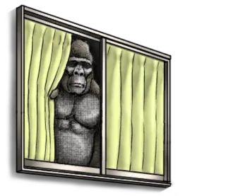 😖 gorila, janela, cortinas, animal, macaco telegram sticker