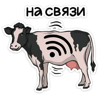 Жуки - @stickers_vk telegram stickers