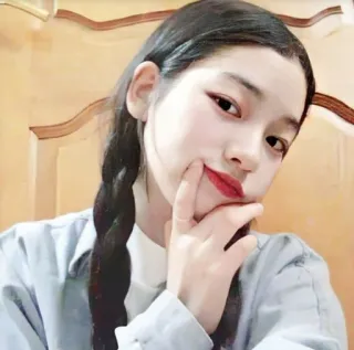 🌸 인물사진, 여자, 땋은 머리, 미모, 소녀 telegram sticker