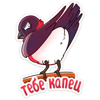 😡 Тебе капец burung, stiker, walet, marah telegram sticker
