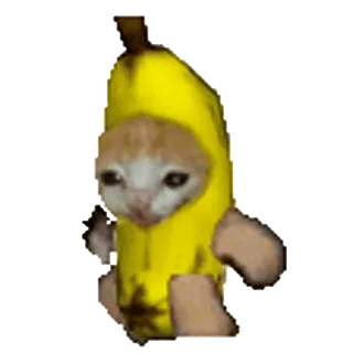 🐈 Katze, Banane, Kostüm, Tier whatsapp sticker