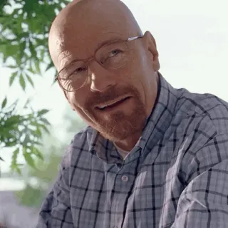 🌓 Walter White Breaking Bad smiling, man, bald, glasses, happy telegram sticker