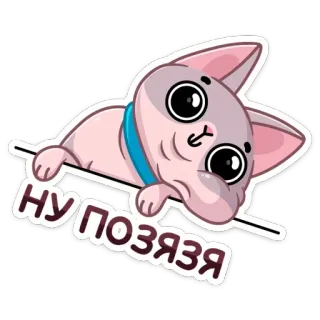 🥺 НУ ПОЗЯЗЯ gatto, sphynx, adesivo, carino, cartone animato telegram sticker