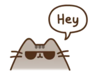 😎 Hey chat, salut, animal, lunettes de soleil, cool, dessin animé telegram sticker