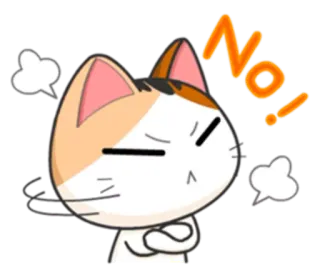 😾 No! chat, en colère, non, désaccord, manifestation, rejet whatsapp sticker