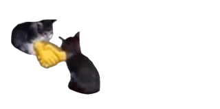 🤝 cats, kittens, pets telegram sticker