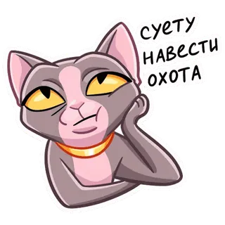 😊 суету навести охота kot, myślący, Meme, rosyjski, kreskówka whatsapp sticker