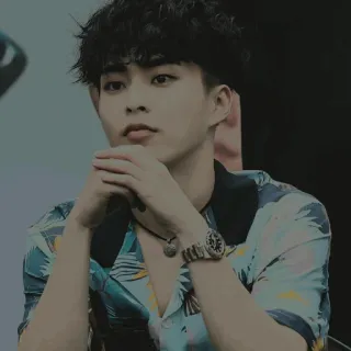 🕊 whatsapp sticker