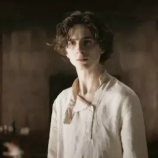 😐 Timothée Chalamet actor, portrait, celebrity telegram sticker