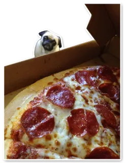 🍕 Pizza, Mops, Jedzenie, Pies, Urocze, Zwierzę telegram sticker
