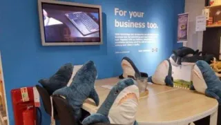 👥 For your business too. business, meeting, sharks, IKEA, office, plush toys whatsapp sticker