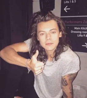 👍 Harry Styles singer, celebrity, thumbs up, person, male telegram sticker