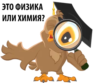😐 ЭТО ФИЗИКА ИЛИ ХИМИЯ? coruja, física, química, educação, ciência, lupa, graduado, capelo whatsapp sticker