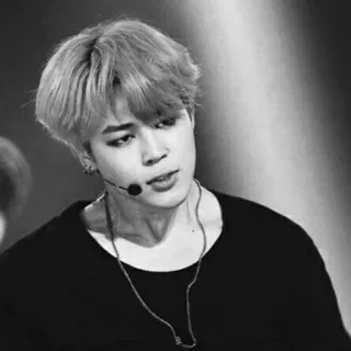 ⌚️ Jimin jimin, bts, kpop, penyanyi, idola, hitam putih telegram sticker